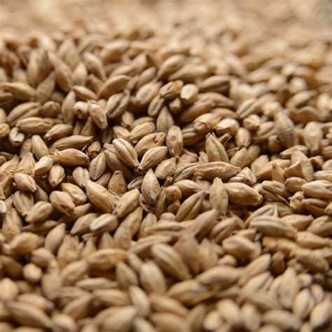 wholesale malt suppliers